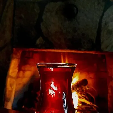 Rüya Çıralı