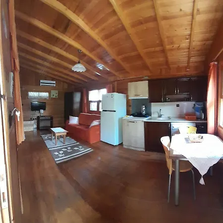 Rüya Séjour chez l'habitant Çıralı