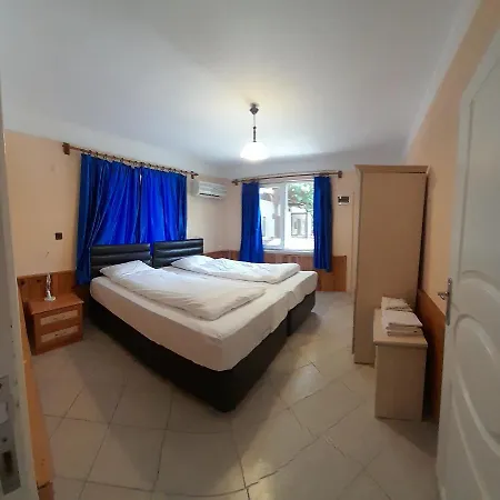 Rüya